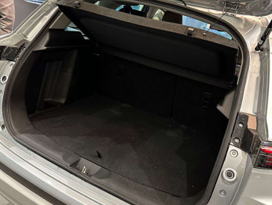 Maruti Grand Vitara Smart Hybrid Alpha Ptl